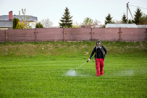 Farmers spraying pesticide on lawn field wearing protective clothing. Insecticide sprayer with a proper protection. Treatment of grass from weeds and dandelion. Copy space. Gardening care season. Man Farmers spraying pesticide on lawn field wearing protective clothing. Insecticide sprayer with a proper protection. Treatment of grass from weeds and dandelion. Copy space. Gardening care season. Man. apply fertilizer stock pictures, royalty-free photos & images