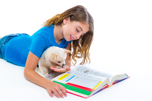 kid girl with puppy chihuahua pet dog doing homework lying on white background