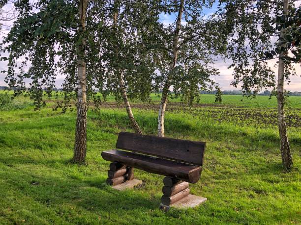 istock Rural landscape in Schleswig-Holstein, Germany 1345120087