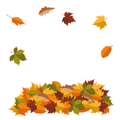 Pile of autumn colored leaves isolated on white background. Vector illustration.