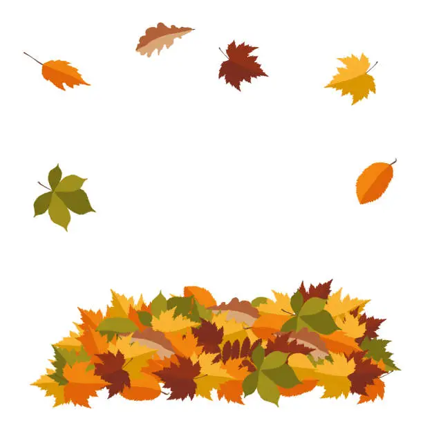 Vector illustration of Pile of autumn colored leaves isolated on white background. Vector illustration.