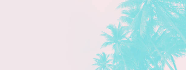 istock blue summer coconut tree silhouette on pink nature banner background 1345124742