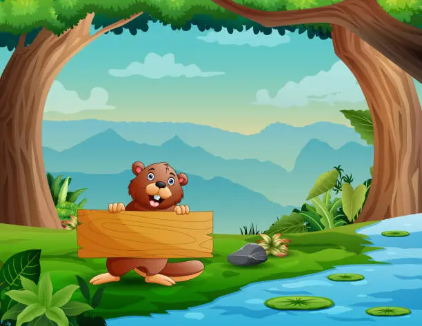 Vector illustration of Cute a beaver holding wooden sign by the river