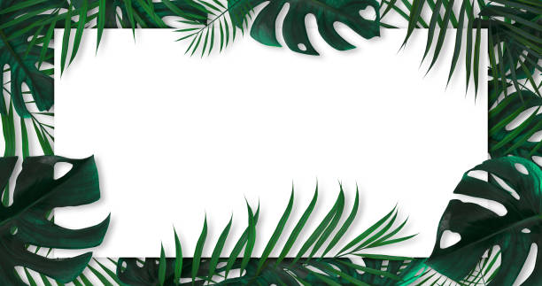 istock Modern Green Leaves Background With White Empty Space - 3D Illustration 1345125121