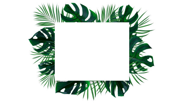 istock Modern Green Leaves Background With White Empty Space - 3D Illustration 1345125613
