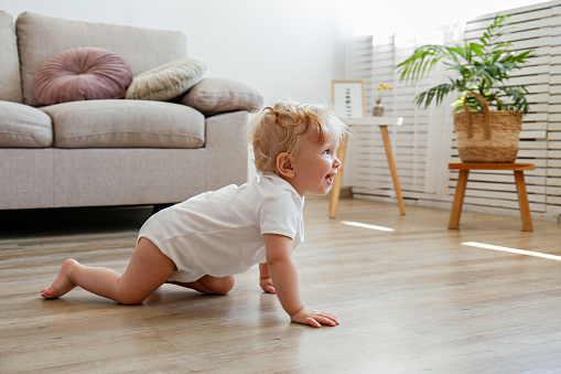 One year old child learning to crawl on the wooden floor of living room. Interior background. Adorable blonde little girl in pink crawlers at home. Close up, copy space for text.