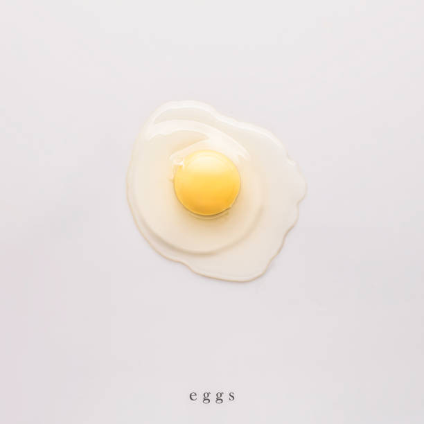 raw egg on a white background. top view. minimalistic food art, healthy food, decoration stock photo