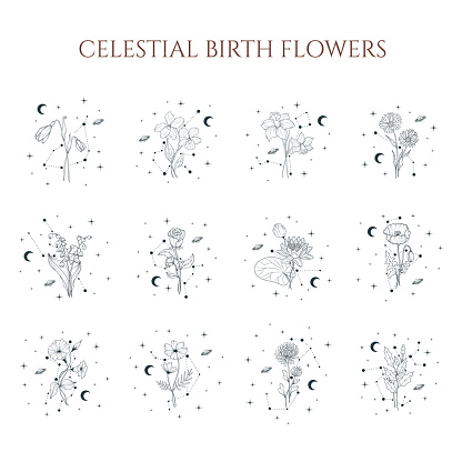 Celestial birth month flower set. Vector isolated geometrical and spiritual plants, moon and stars for greeting cards and invitations.