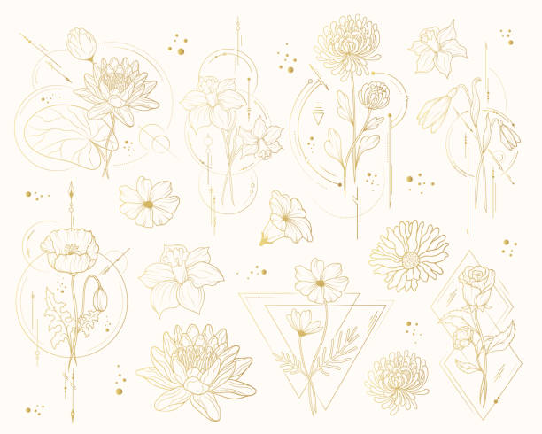 ilustraciones, imágenes clip art, dibujos animados e iconos de stock de conjunto de flores doradas de diseño geométrico. vector aislado de flores de primavera y verano para invitaciones de boda y tarjetas de felicitación. - golden daisy