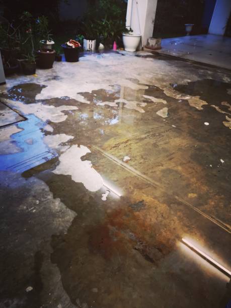istock Flood in my building 1345129588