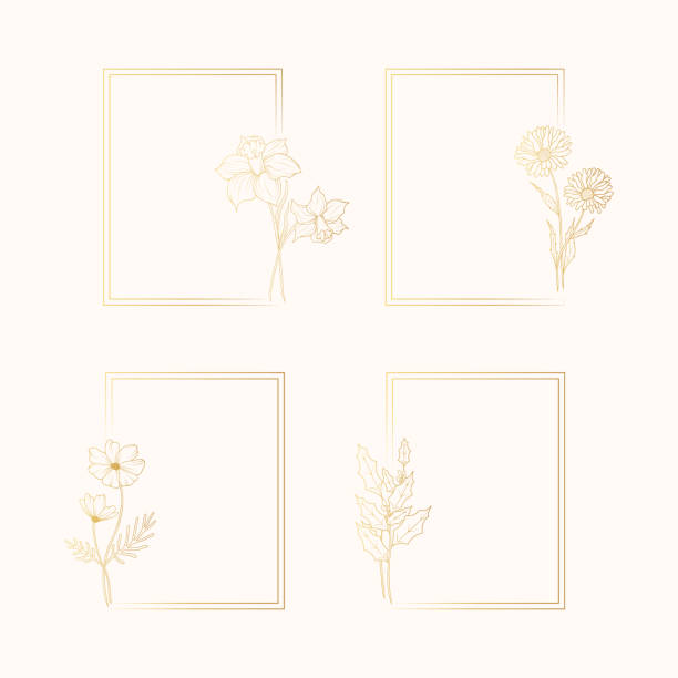 ilustraciones, imágenes clip art, dibujos animados e iconos de stock de conjunto de marcos dorados delicados con flores del mes de nacimiento sobre un fondo blanco para invitaciones de boda y tarjetas de felicitación. ilustración vectorial. - golden daisy