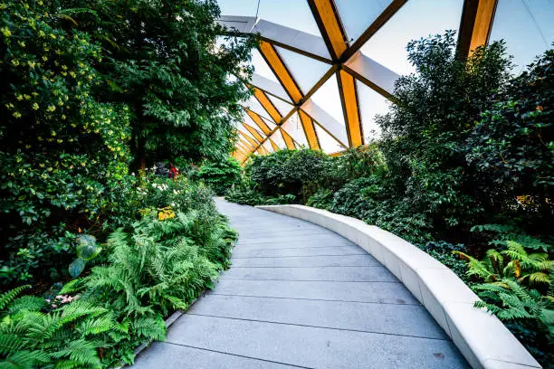 Photo of High-tech timber structure above a public park in Canary Wharf London