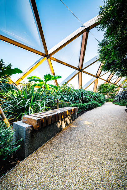 istock High-tech timber structure above a public park in Canary Wharf London 1345132289
