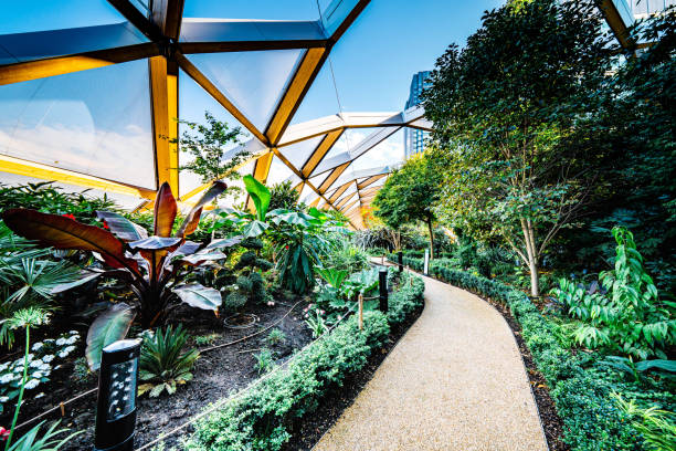 istock High-tech timber structure above a public park in Canary Wharf London 1345132302