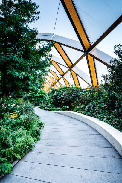 istock High-tech timber structure above a public park in Canary Wharf London 1345132310