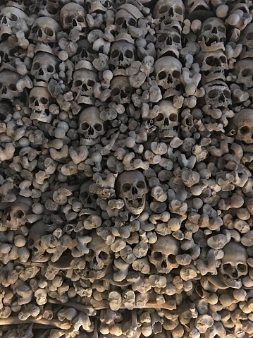 Image of lots of true bones of death people correctly ordered