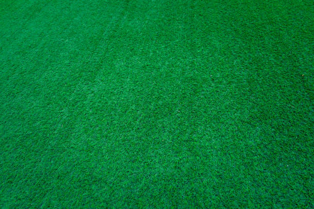 istock Green grass texture for background. Green lawn pattern and texture background. Close-up. 1345134476