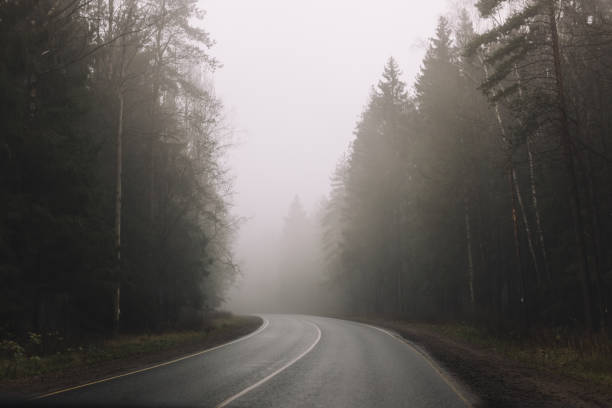 istock Curving empty asphalt road passing through foggy pine forest. 1345136112