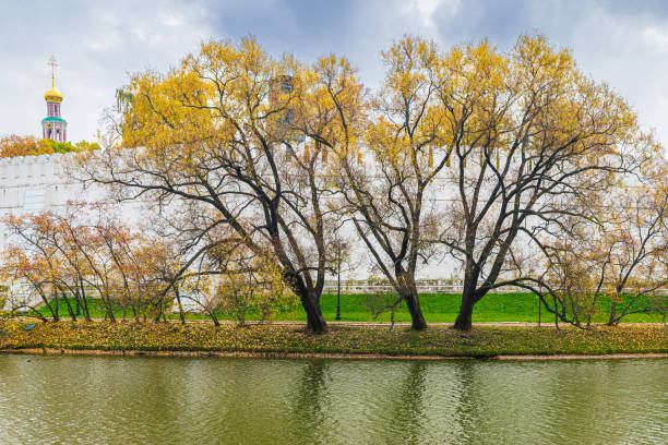 istock View of the famous Novodevichy Convent 1345137348
