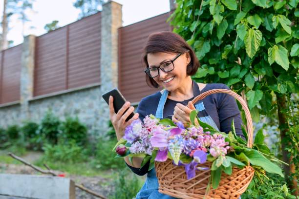 スマートフォンを使用して新鮮な切り春の花のバスケットと庭の中年女性。 - iris single flower flower outdoors ストックフォトと画像