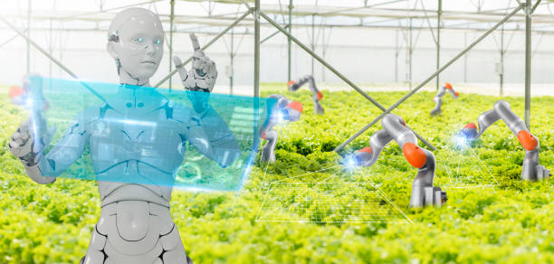 istock An agricultural industry robotics solutions technology revolution, robot weeding harvesting nursery in organic farm fully automated artificial intelligence smart sensors, 3D render concept robot. 1345137608