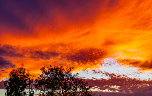 Sunset with dramatic sky and rainny clound with tree