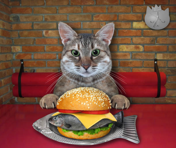 istock Cat gray eating raw fish burger at table 1345141961