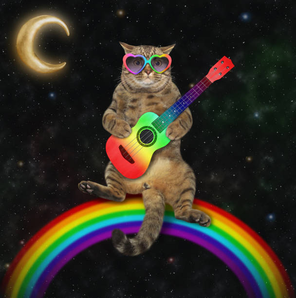 istock Cat playing acoustic guitar on rainbow 1345141996