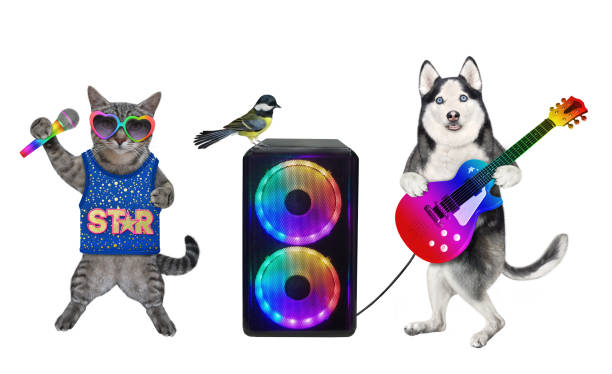 istock Dog husky plays guitar near loudspeaker 3 1345142035