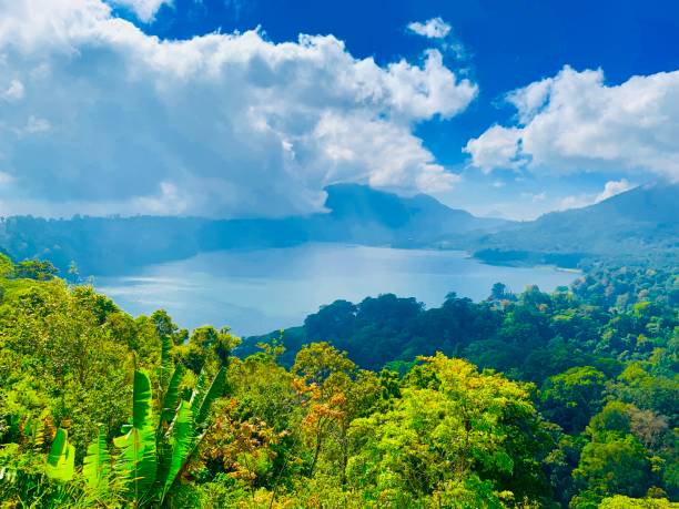 istock View of the nature in Bali 1345144744