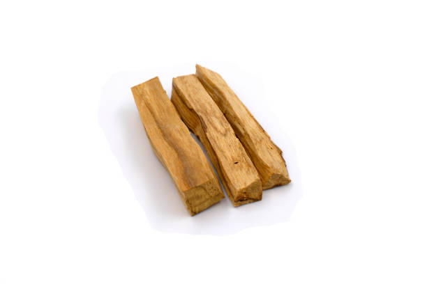 istock Three sticks of Palo Santo tree on a white background. 1345149235