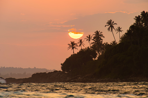 Beautiful tropical sunset with palm trees. Silhouette of a coconut tree and the sun illuminates the true trees on the beach at sunset, Mirissa, Sri Lanka. High quality photo