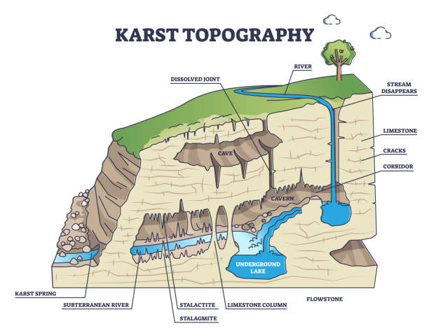 ilustrações, clipart, desenhos animados e ícones de topografia karst e formação geológica de caverna subterrânea esboçam diagrama - stalactite