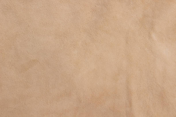 Sample of genuine calfskin of the highest quality. Sample of genuine calfskin of the highest quality. Beige leather texture or background. chamois animal photos stock pictures, royalty-free photos & images