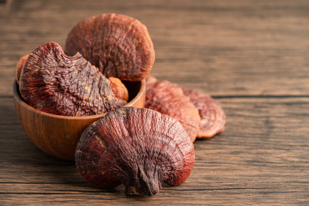 istock Dried lingzhi mushroom isolated on white background with clipping path. 1345152008