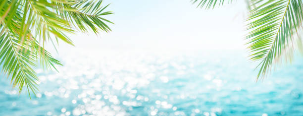 istock Summer tropical sea and palm leaves 1345157584