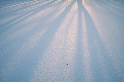 Winter beauty background. Long shadows from the trees on a clean snowy river surface.