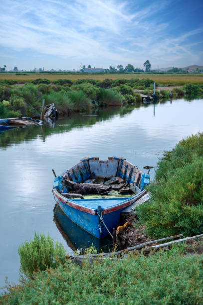 istock Fishing boat in the Ebro Delta 1345163649