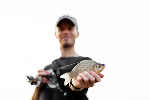 Close-up view of a freshly caught crucian carp fish. Happy smiling fisherman poses with caught fish