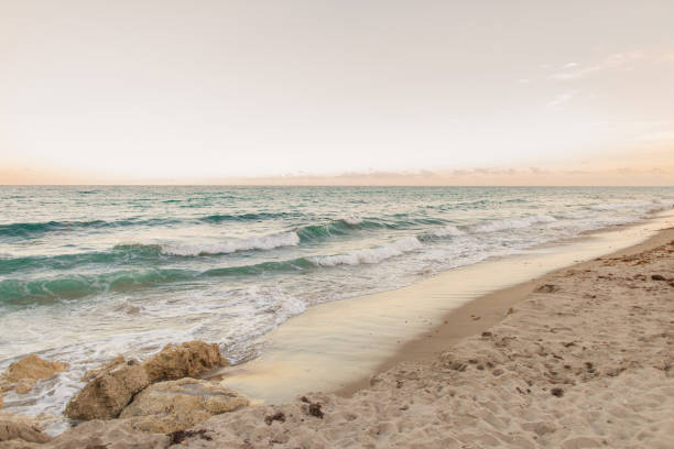 pastel sunset sky over the palm beach, florida shoreline - beach stockfoto's en -beelden