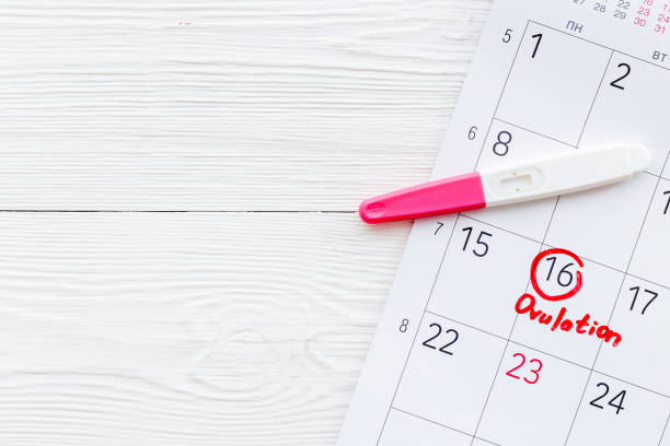 istock Ovulation day mark in calendar with ovulation home test 1345169693