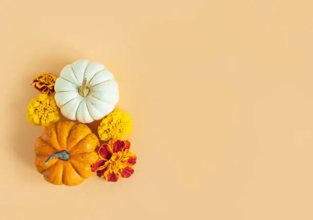 Photo of Ripe pumpkins with autumn marigold flowers on a yellow pastel background. Minimalistic concept for Thanksgiving card or background.