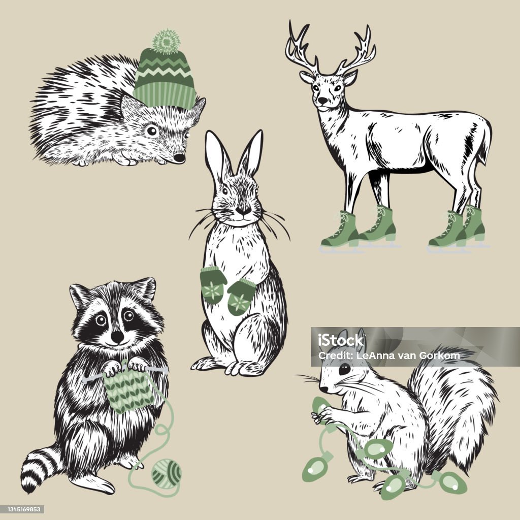 Set Of Five Hand Drawn Holiday Woodland Forest Animals Stock Illustration -  Download Image Now - iStock