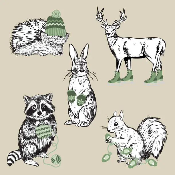 Vector illustration of Set of Five Hand Drawn Holiday Woodland Forest Animals