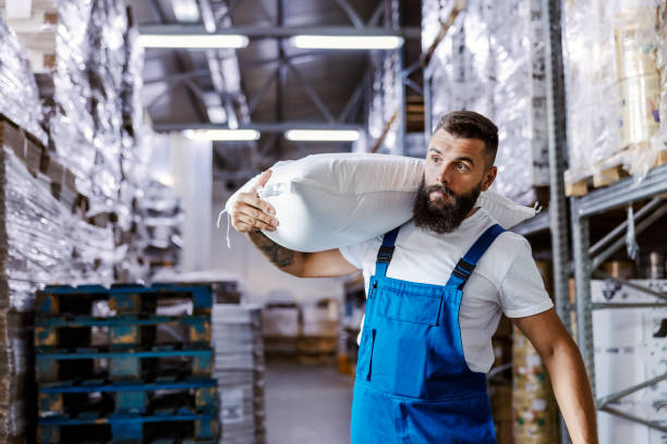 el trabajador del almacén rápido sostiene un saco con harina en el hombro y lo reubica en otro lugar. está preparando pedidos para el envío. - industria de la harina fotografías e imágenes de stock