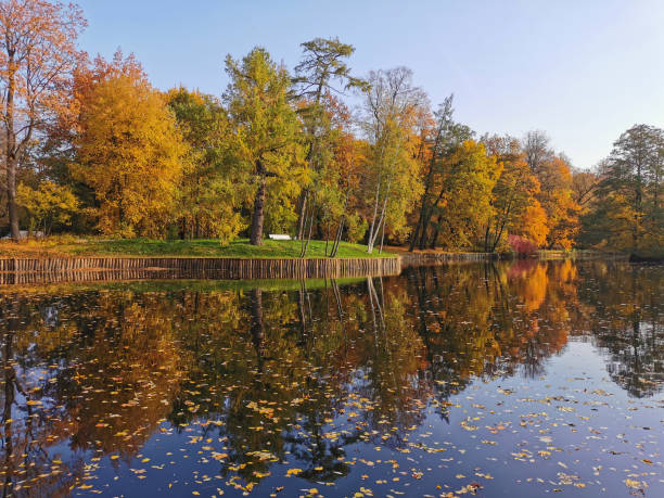 l’automne dans le parc. des arbres aux feuilles brillantes et tombantes poussent sur la rive de l’étang et se reflètent dans son eau. - bench forest pond autumn photos et images de collection