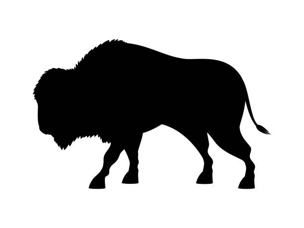 amerikanischer bison schwarze silhouette icon vektor - amerikanischer bison stock-grafiken, -clipart, -cartoons und -symbole