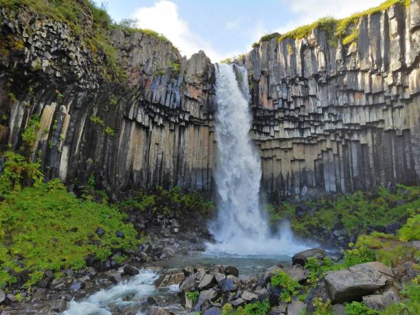 svartifoss waterfall iceland - skaftafell national park 個照片及圖片檔