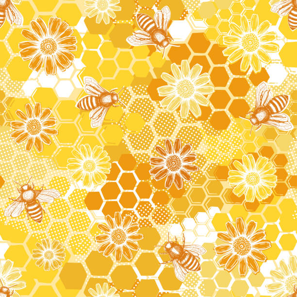 kuvapankkikuvitukset aiheesta kaunis kuvio mehiläiskenno keltainen, loistava muotoilu mihin tahansa tarkoitukseen. vektorikuva. geometrinen tekstuurin tausta. kangaselementti. - beeswax