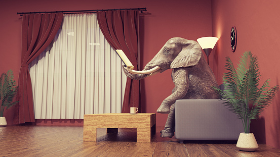 Elephant sits on couch in living room. This is a 3d render illustration